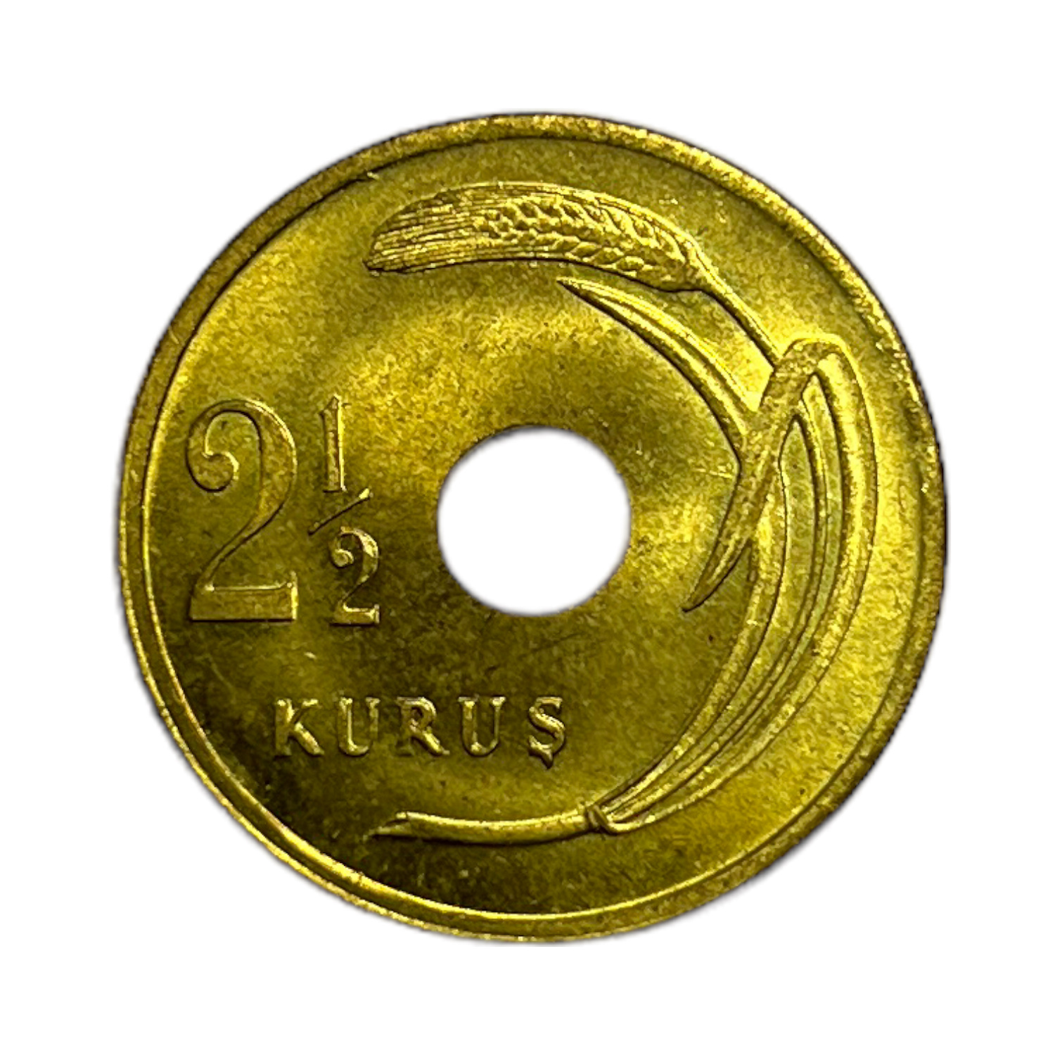2,5 Krş (3)