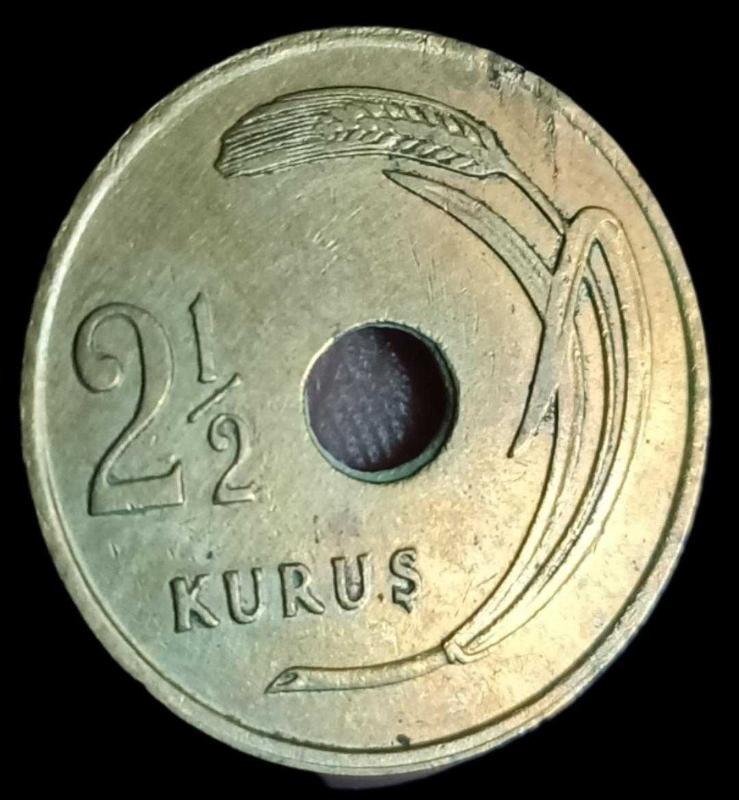 2,5 Krş (4)