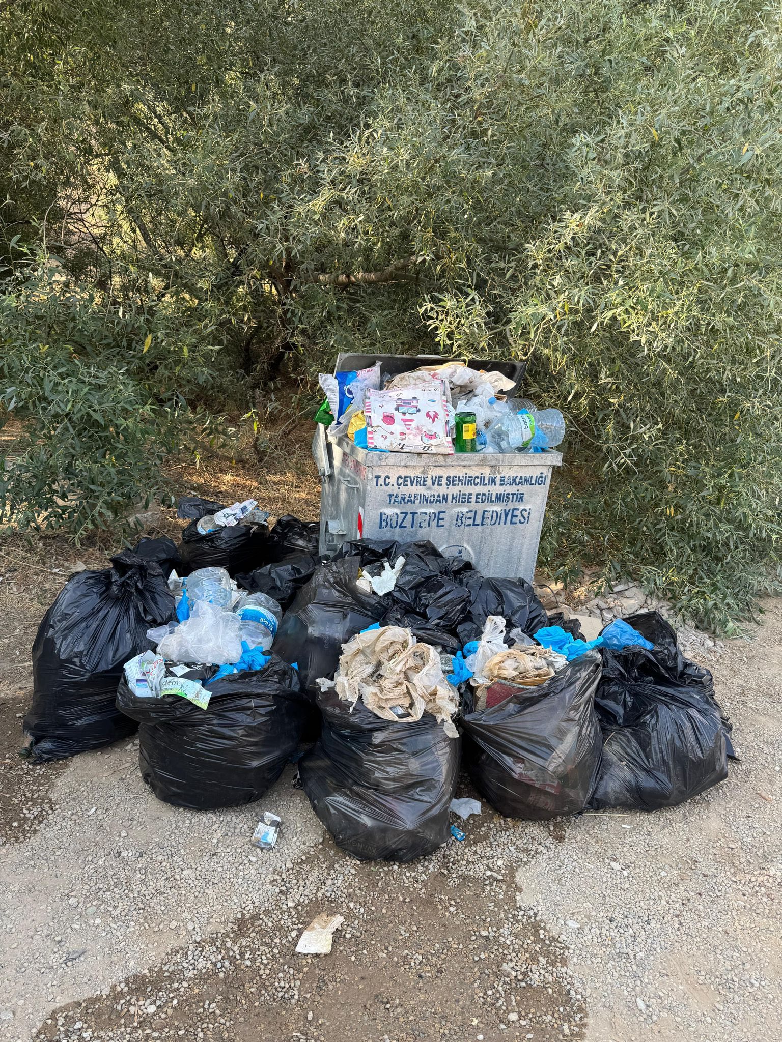 Boztepe’de Doğaya Ortak Müdahale4