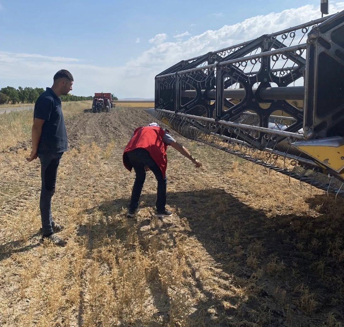 Denetimden Hasada, Seradan Işletmeye Devam Ediyor 5