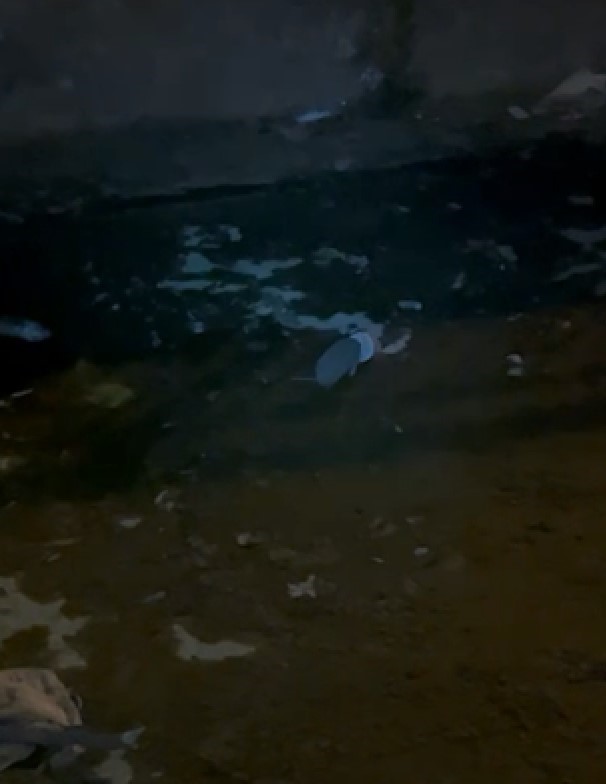 Dondurma Kutusuna Kafası Sıkışan Kirpiyi Itfaiye Kurtardı1