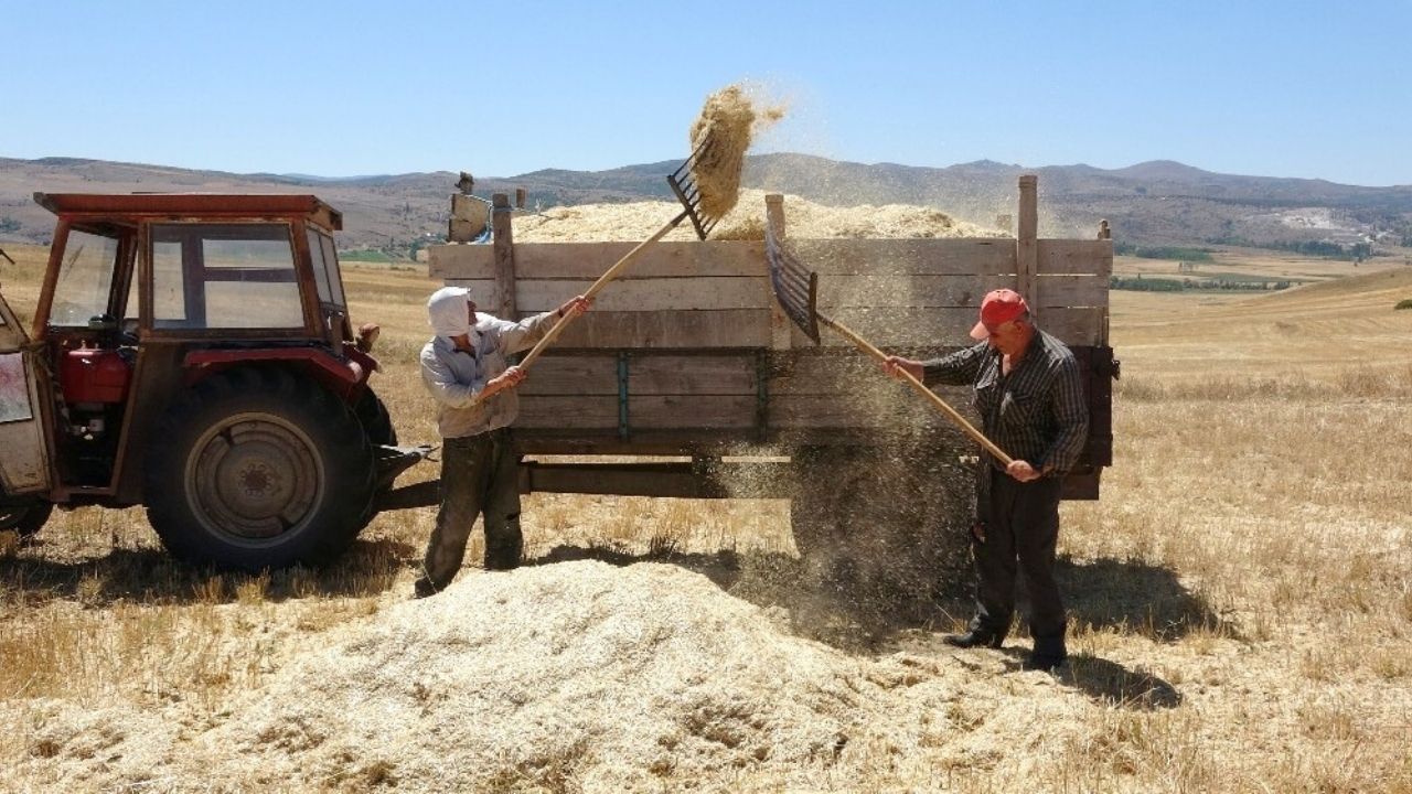 Kırşehir’de Kavurucu Sıcaklıkta Tarlada Yaşam Mücadelesi