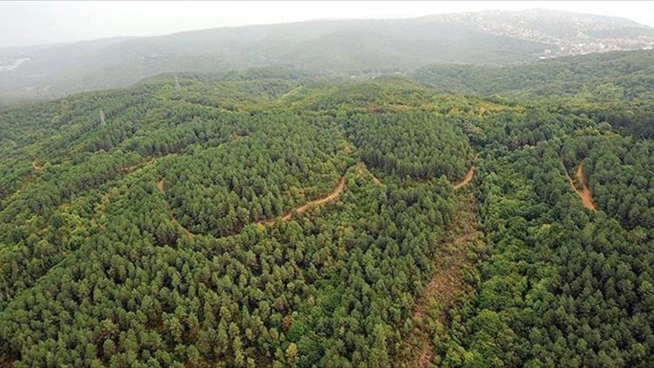 Kırşehir’de Ormanlara Girişler Yasaklandı 2