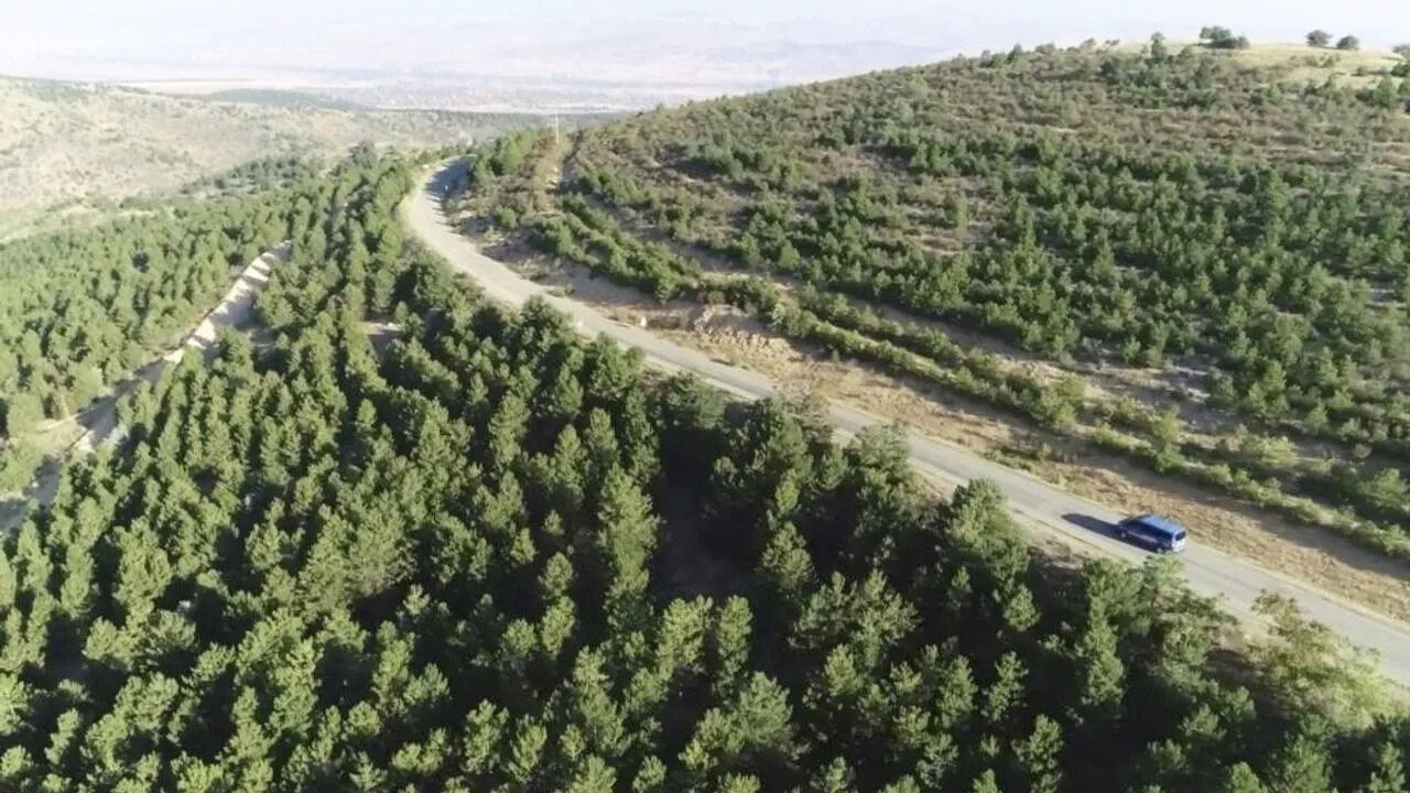 Kırşehir’de Ormanlara Girişler Yasaklandı