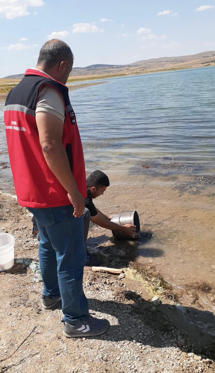 Kırşehir’in Sularına 943 Bin Yavru Sazan Bırakıldı