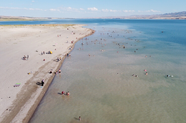 Savcılı Plajı Kamp Alanı