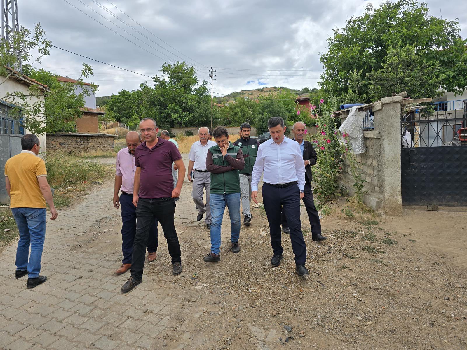Sel Riskine Karşı Yerinde Inceleme