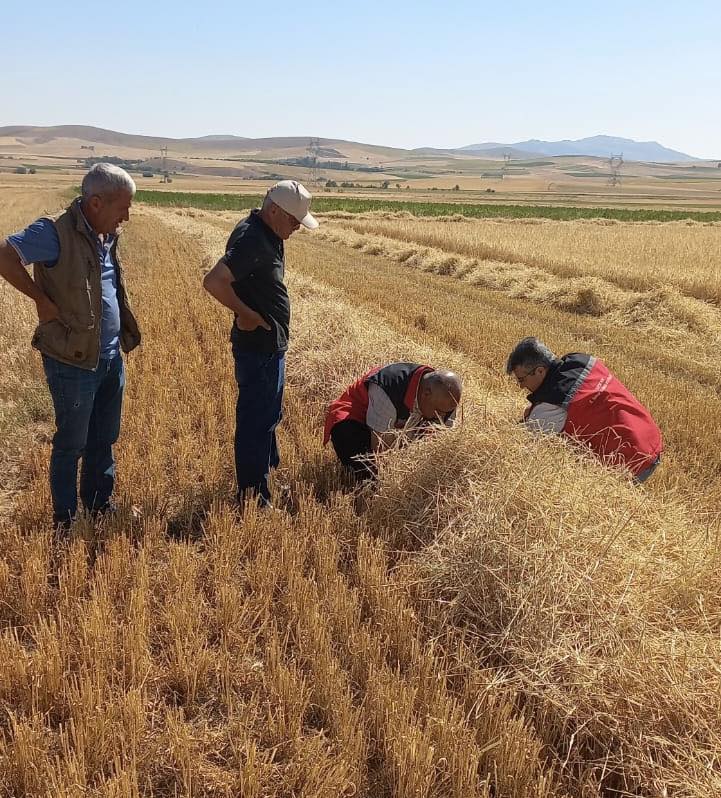 Tarım Müdürlüğü Bereket Için Tarlalarda Yakın Takipte 2
