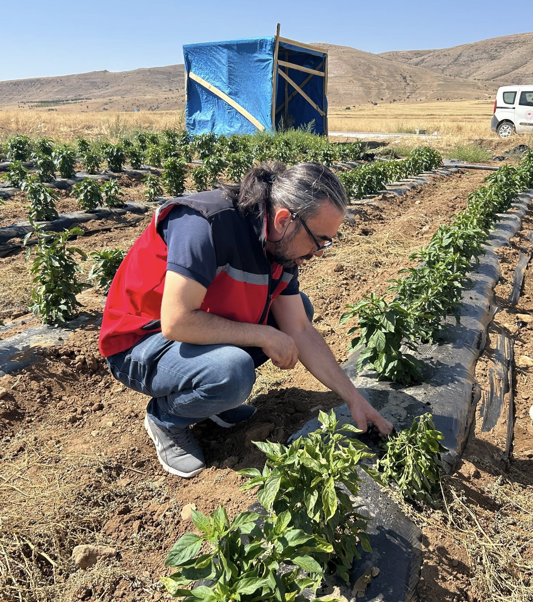 Cemele Biberi Üreticileriyle Buluştular 5
