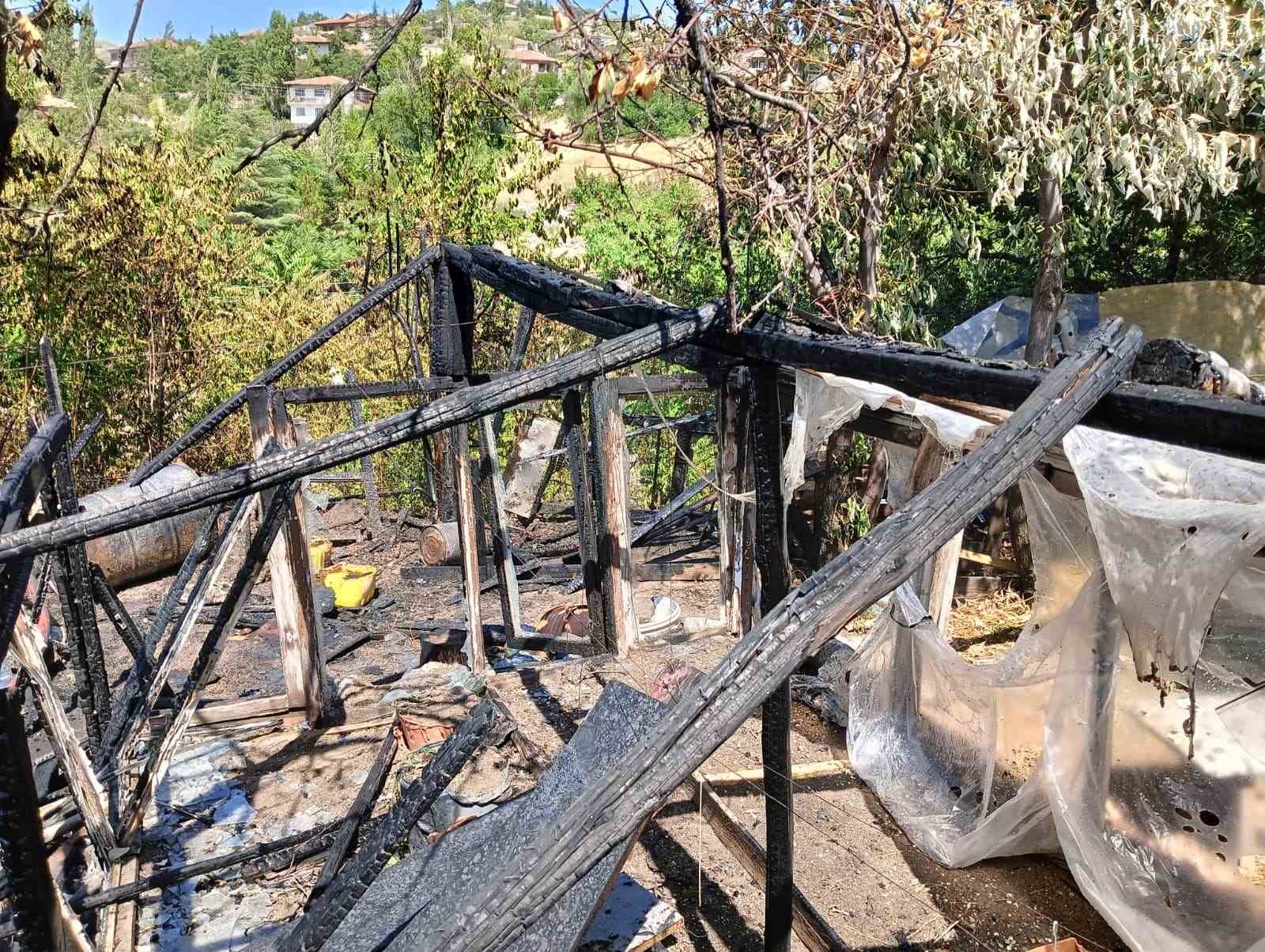 Yangında 33 Kanatlı Hayvan Telef Oldu1