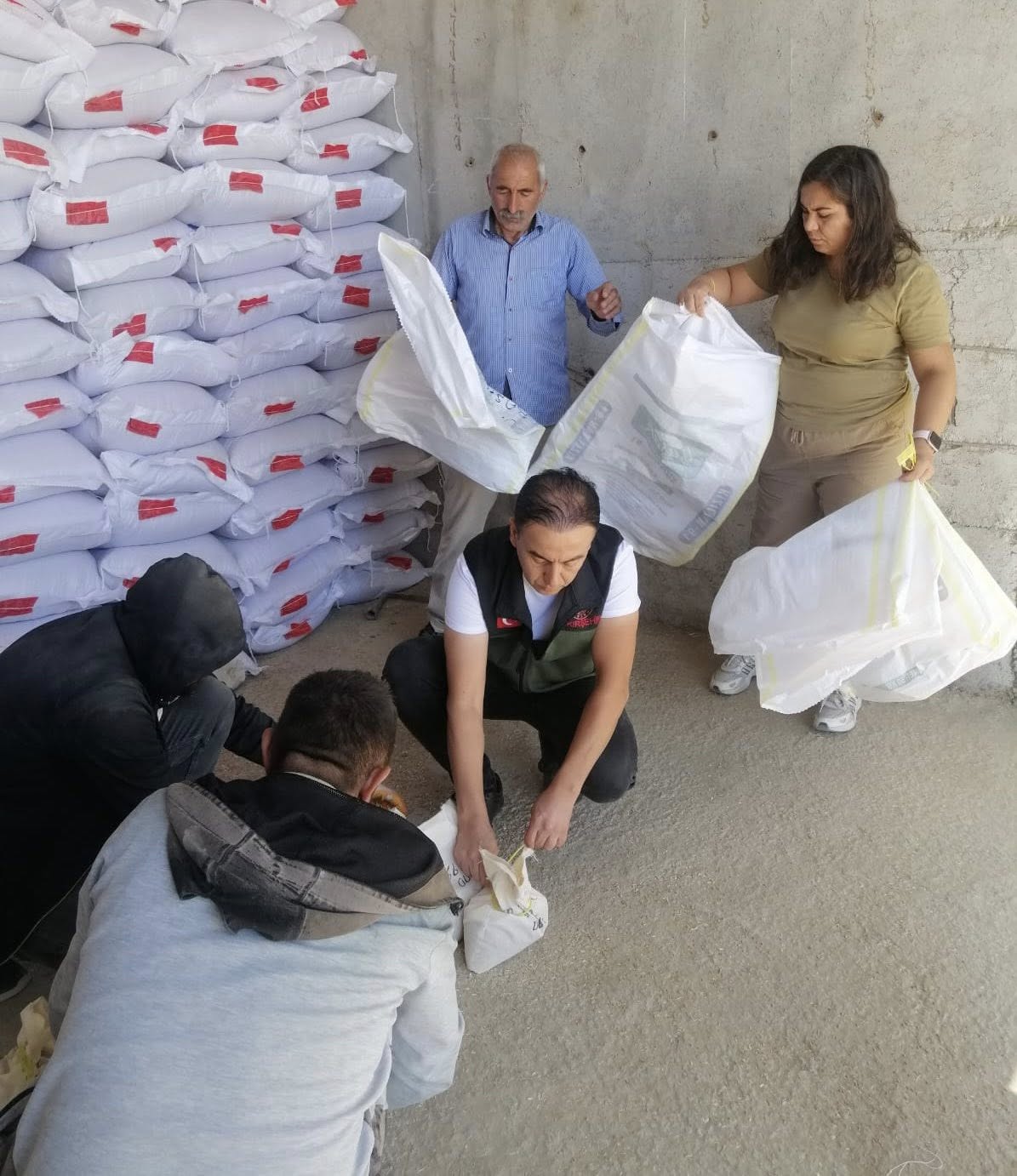 Kırşehir’de Sertifikalı Tohum Numune Alımları Başarıyla Gerçekleştirildi (2)