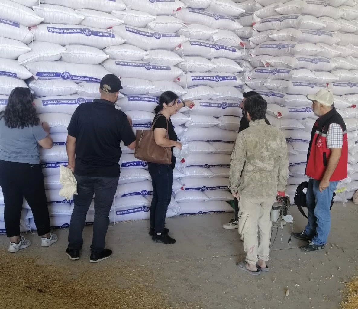 Kırşehir’de Sertifikalı Tohum Numune Alımları Başarıyla Gerçekleştirildi (4)