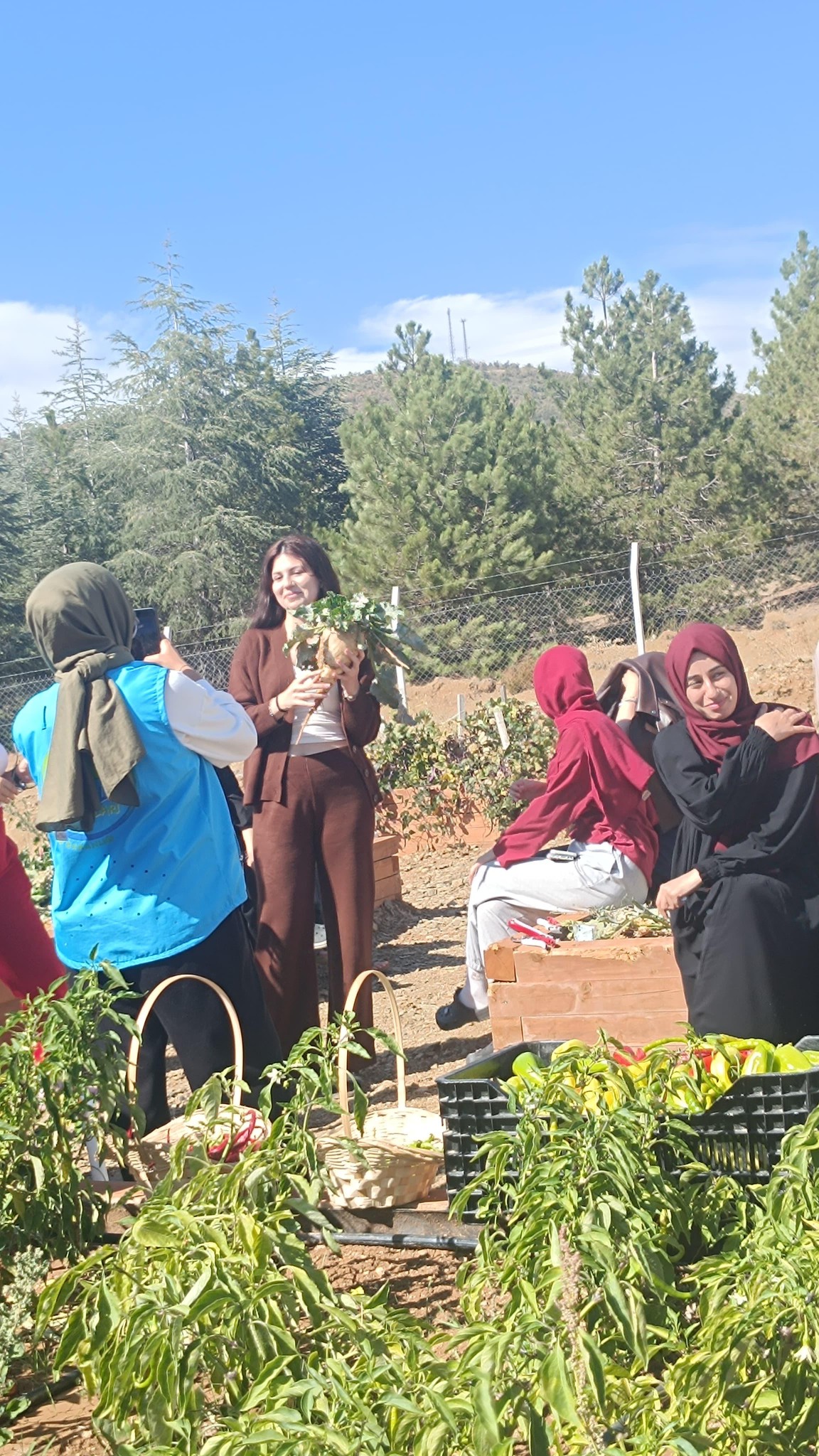 Tarım 2-8
