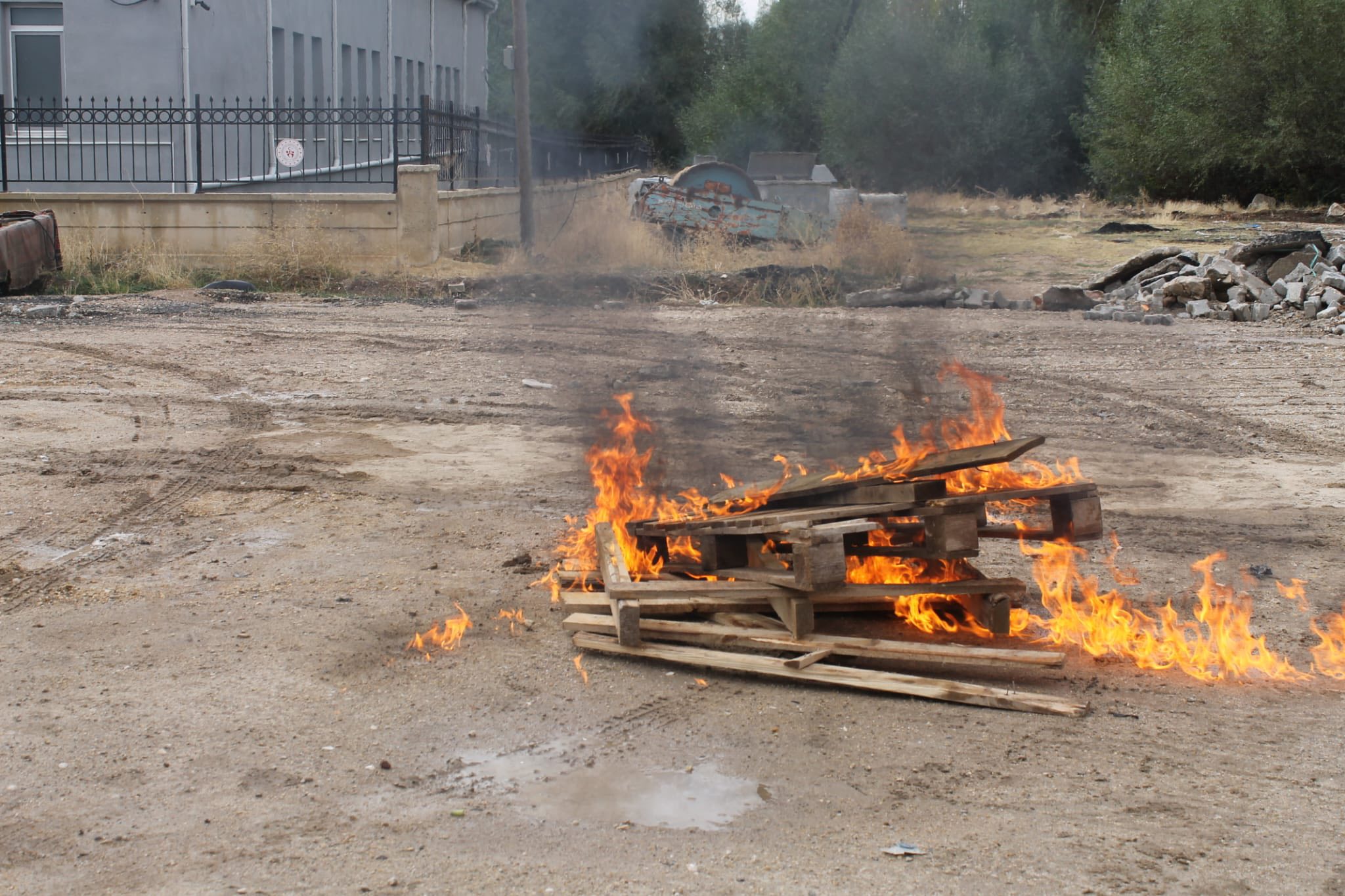 556674422 122195986622296220 2016441402381808209 N