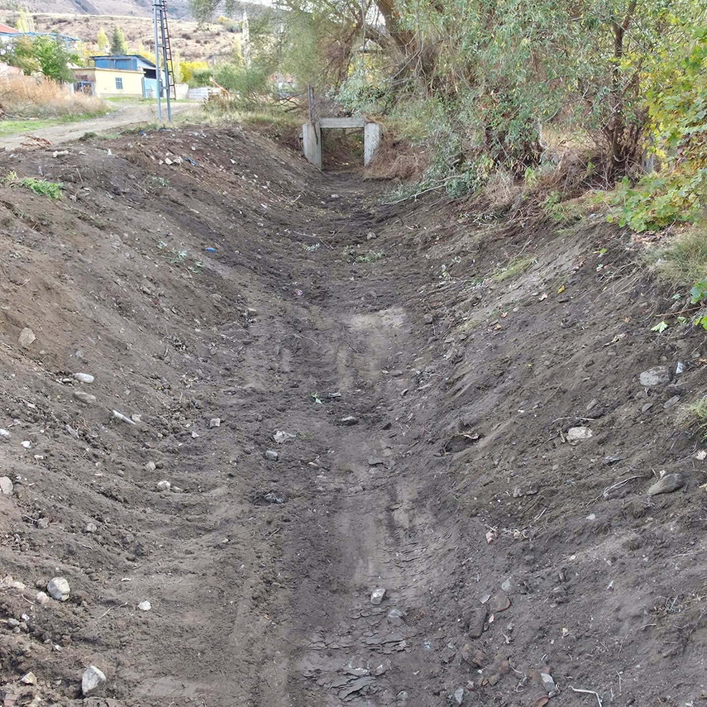 568504661 17928910122108542 643118887903830165 N