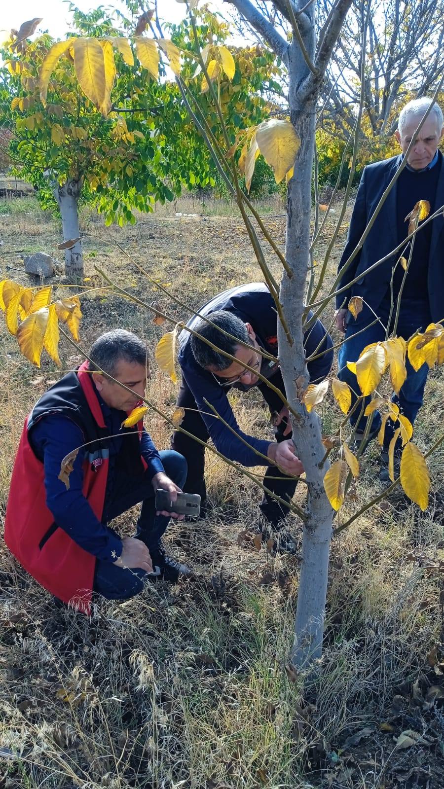 571194420 827297146441717 4698262258425363235 N