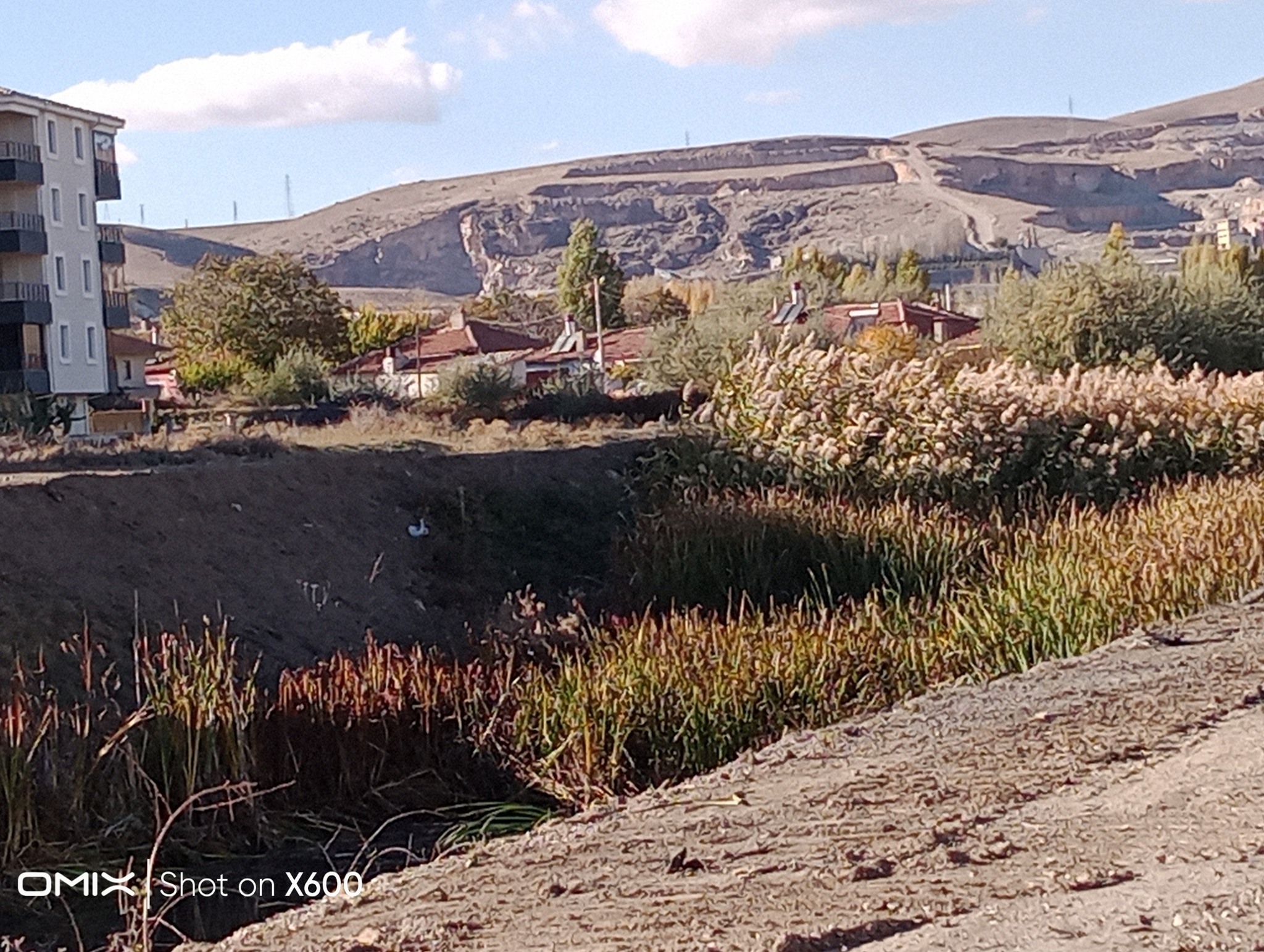 571338851 2588685344843054 3621376228977170162 N