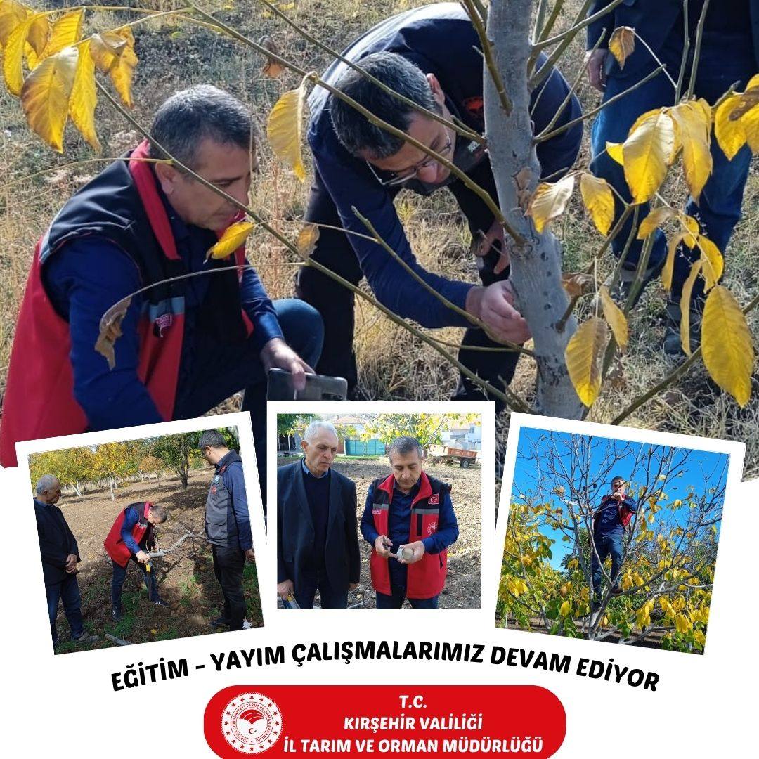 571370264 827297099775055 3221778156349082160 N