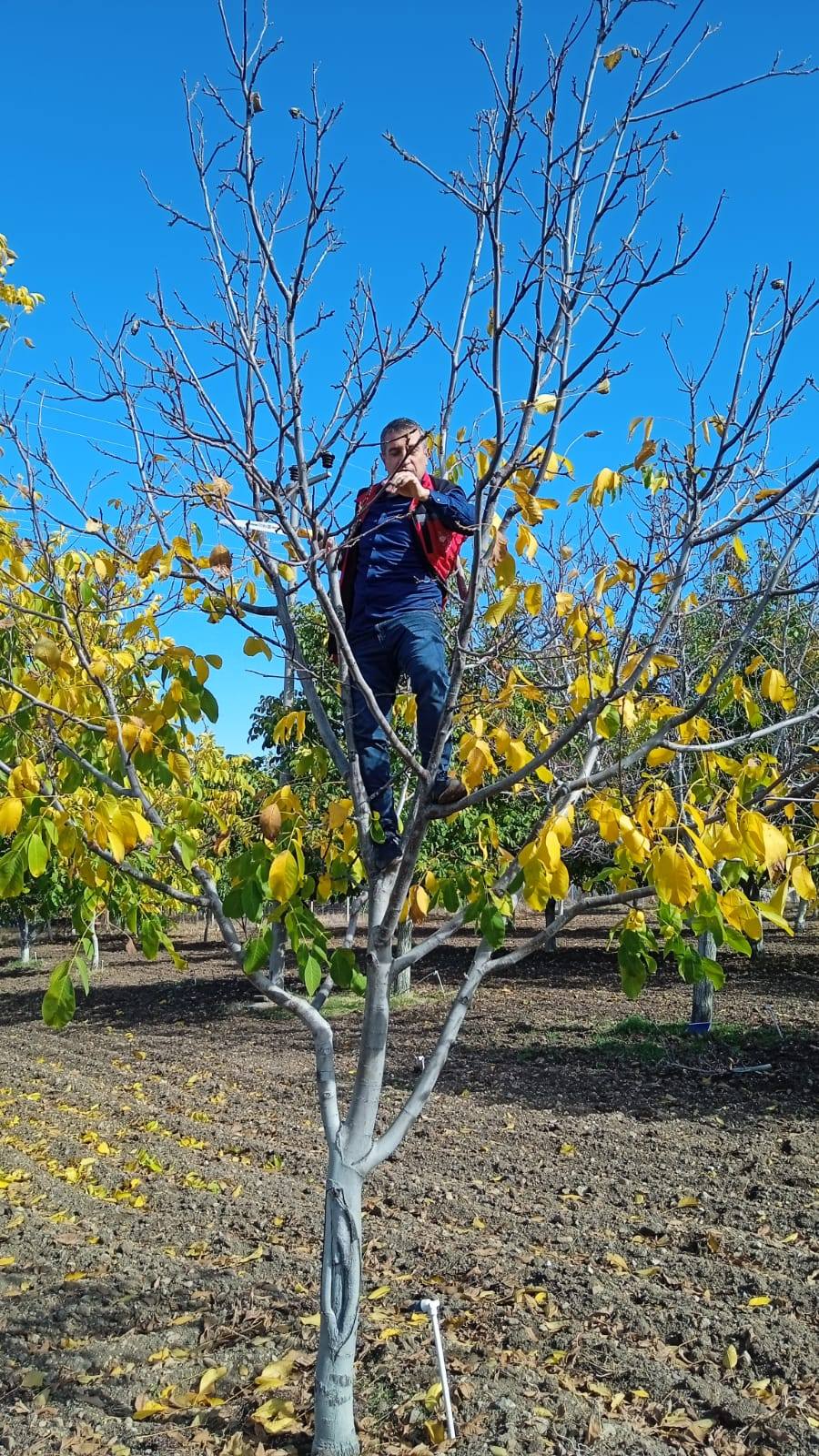 571496892 827297316441700 8289321642363211284 N