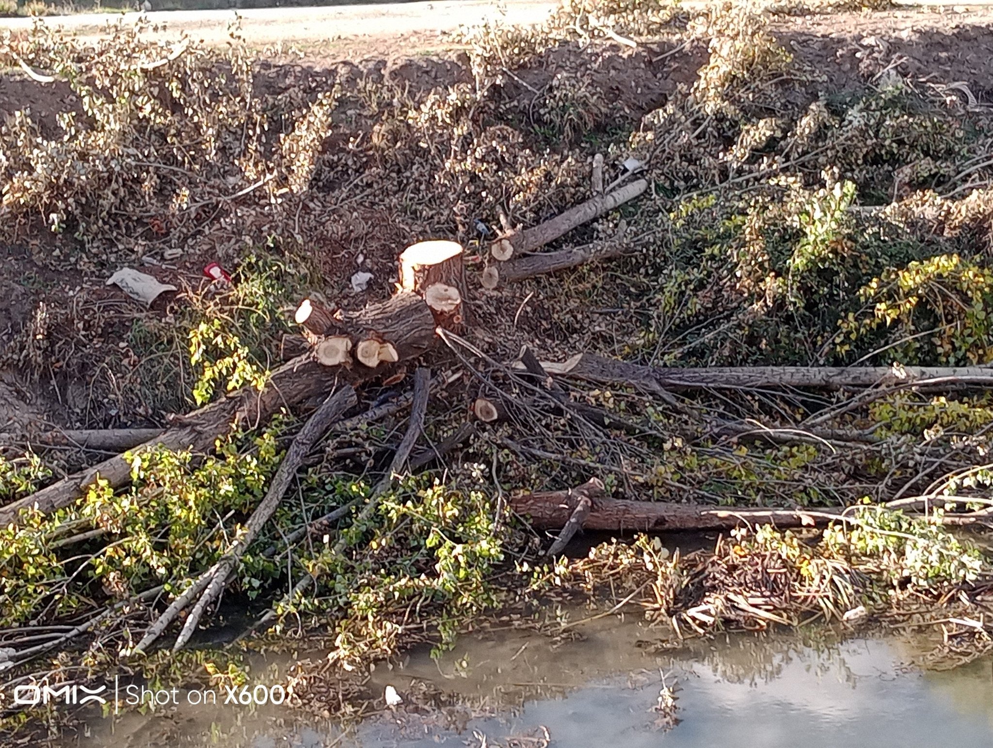 571998134 2588685131509742 3944533338941504723 N