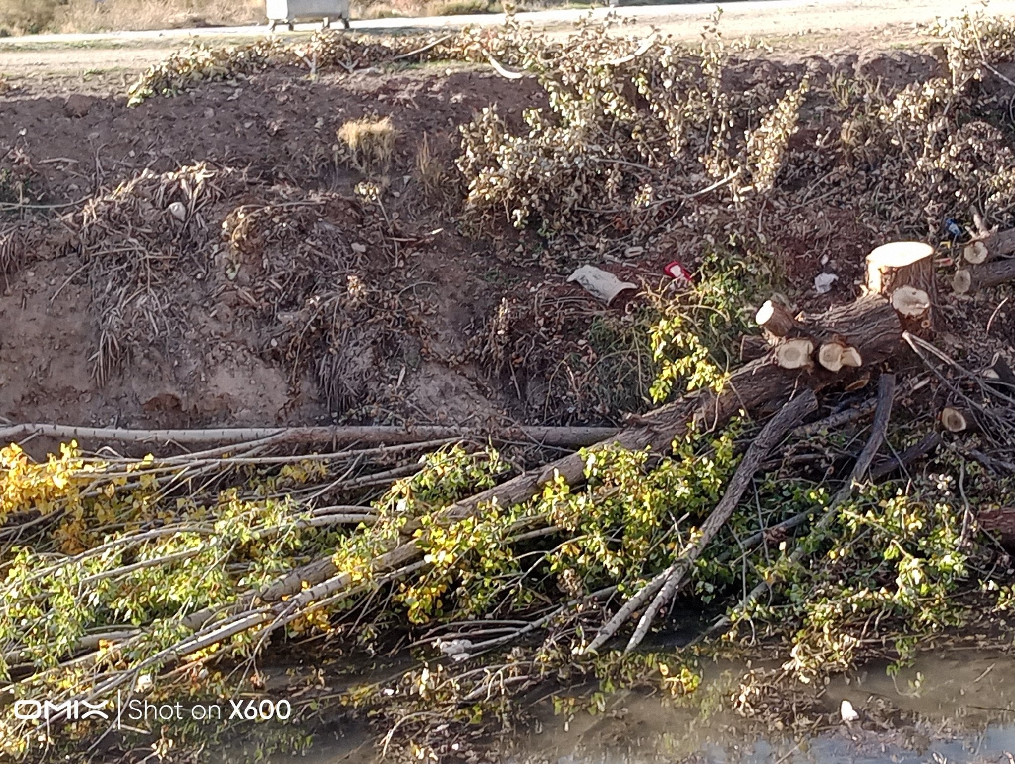 572425535 2588685034843085 1810720647088829219 N