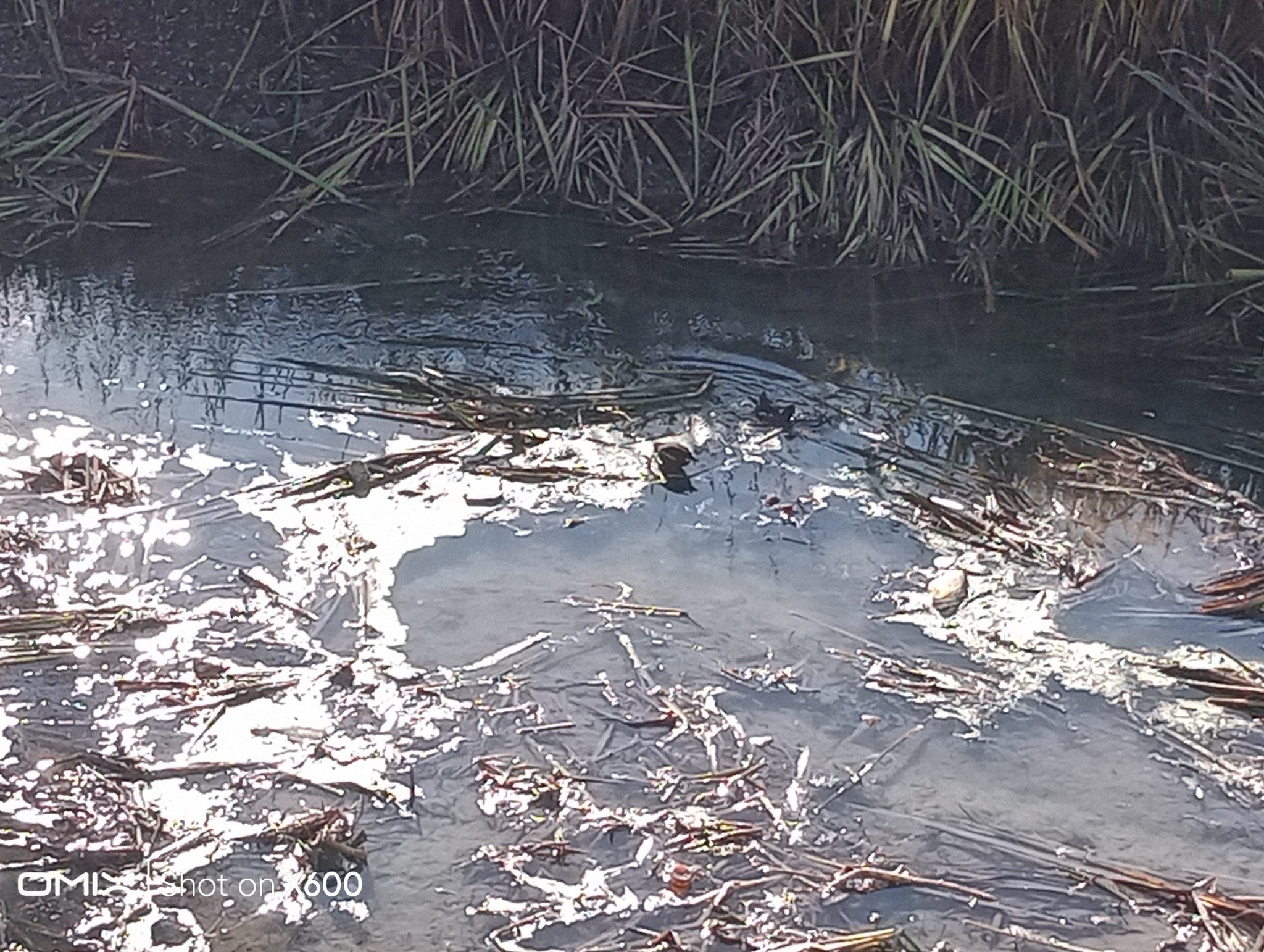 572781683 2588685194843069 7867519720350102084 N