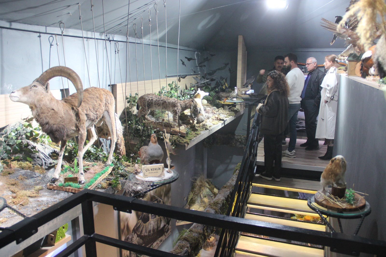 573289658 1134854255425129 9206683611081335348 N