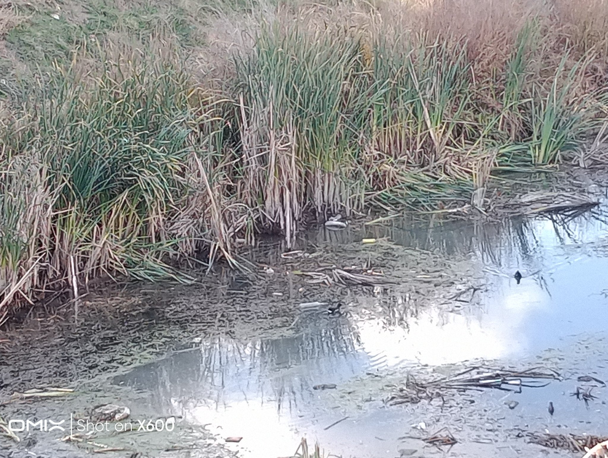 573374168 2588684901509765 7942479248006470753 N