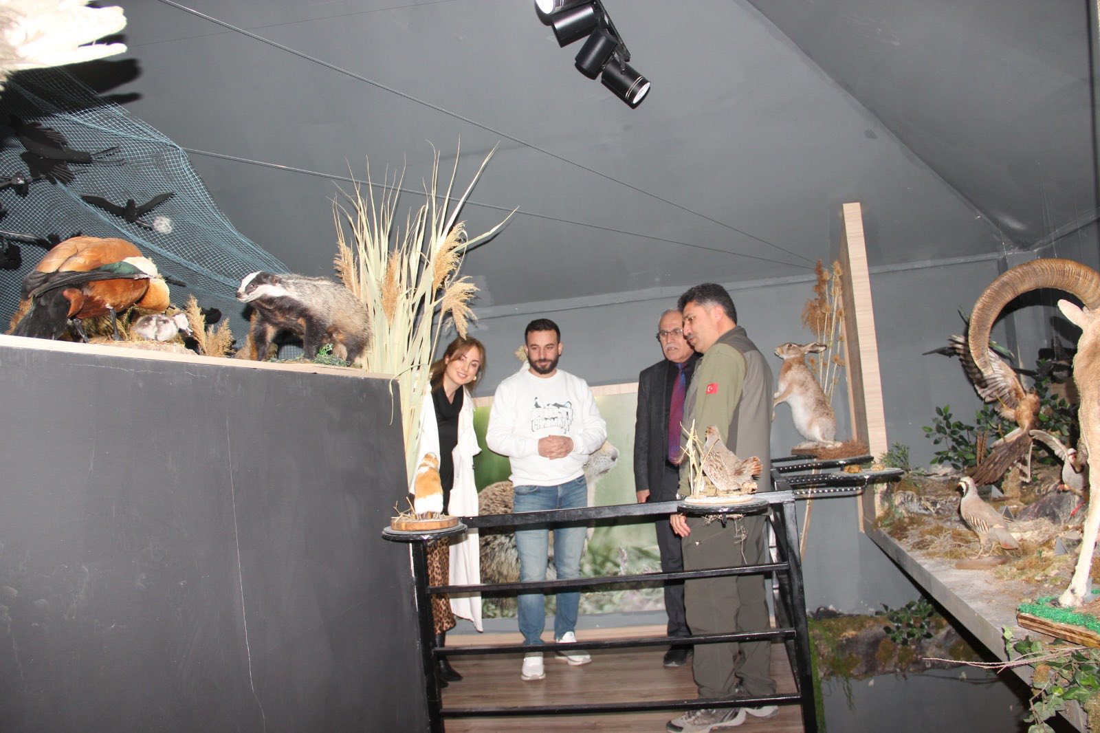 573614522 1134854228758465 1263467622394774093 N