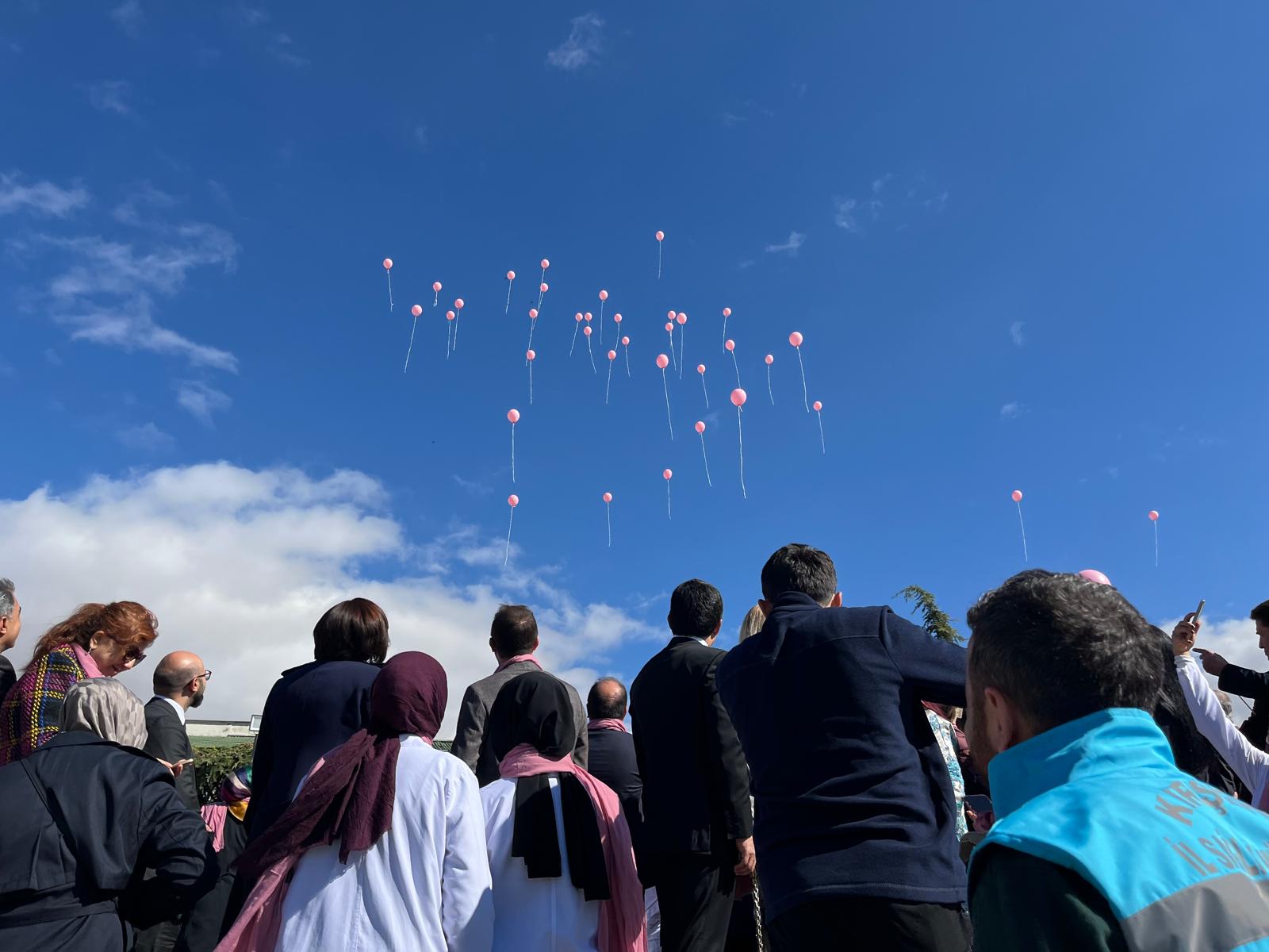 Erken Teşhis Için Kırşehir Pembeye Büründü (12)