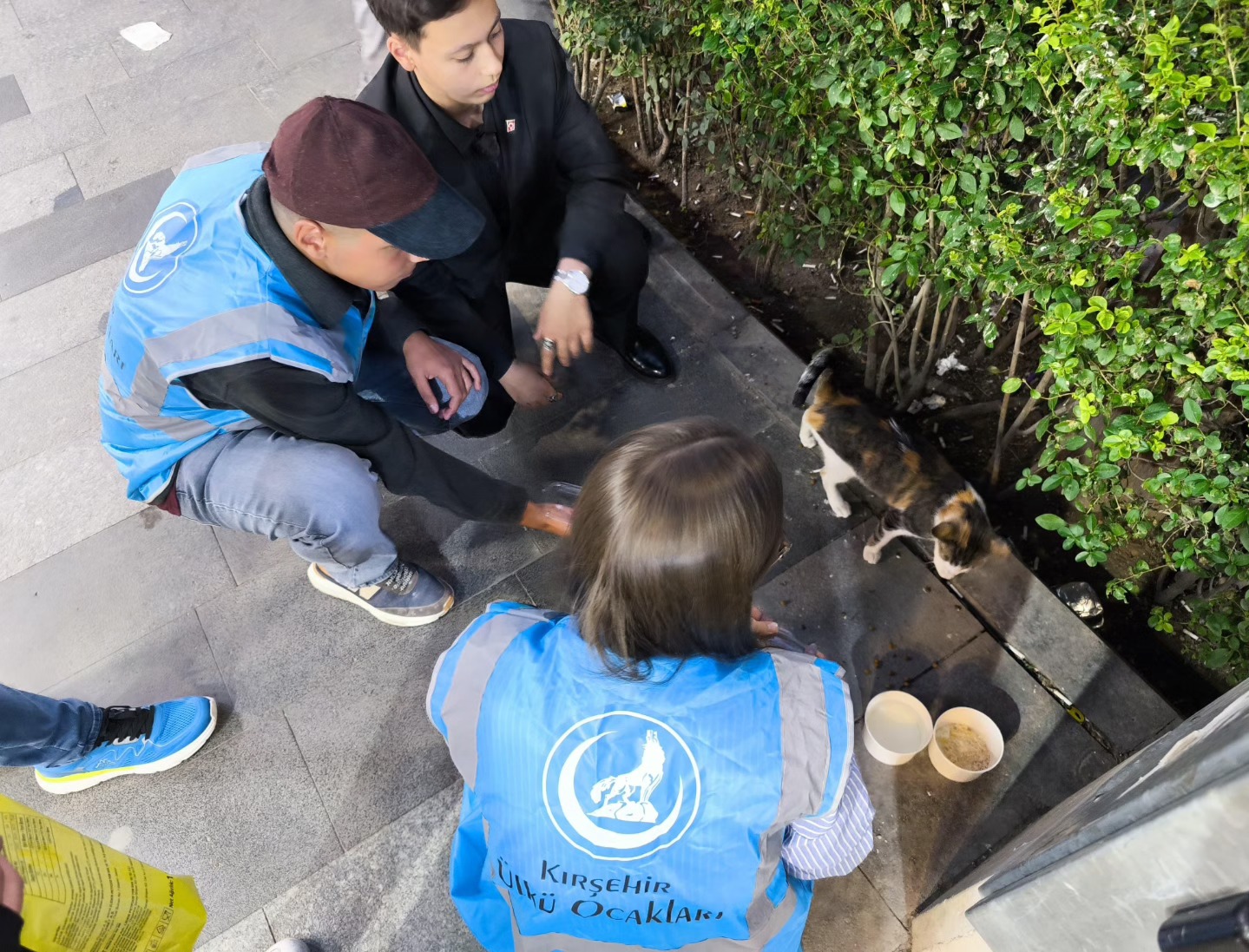 Ülkü Ocakları 2-1