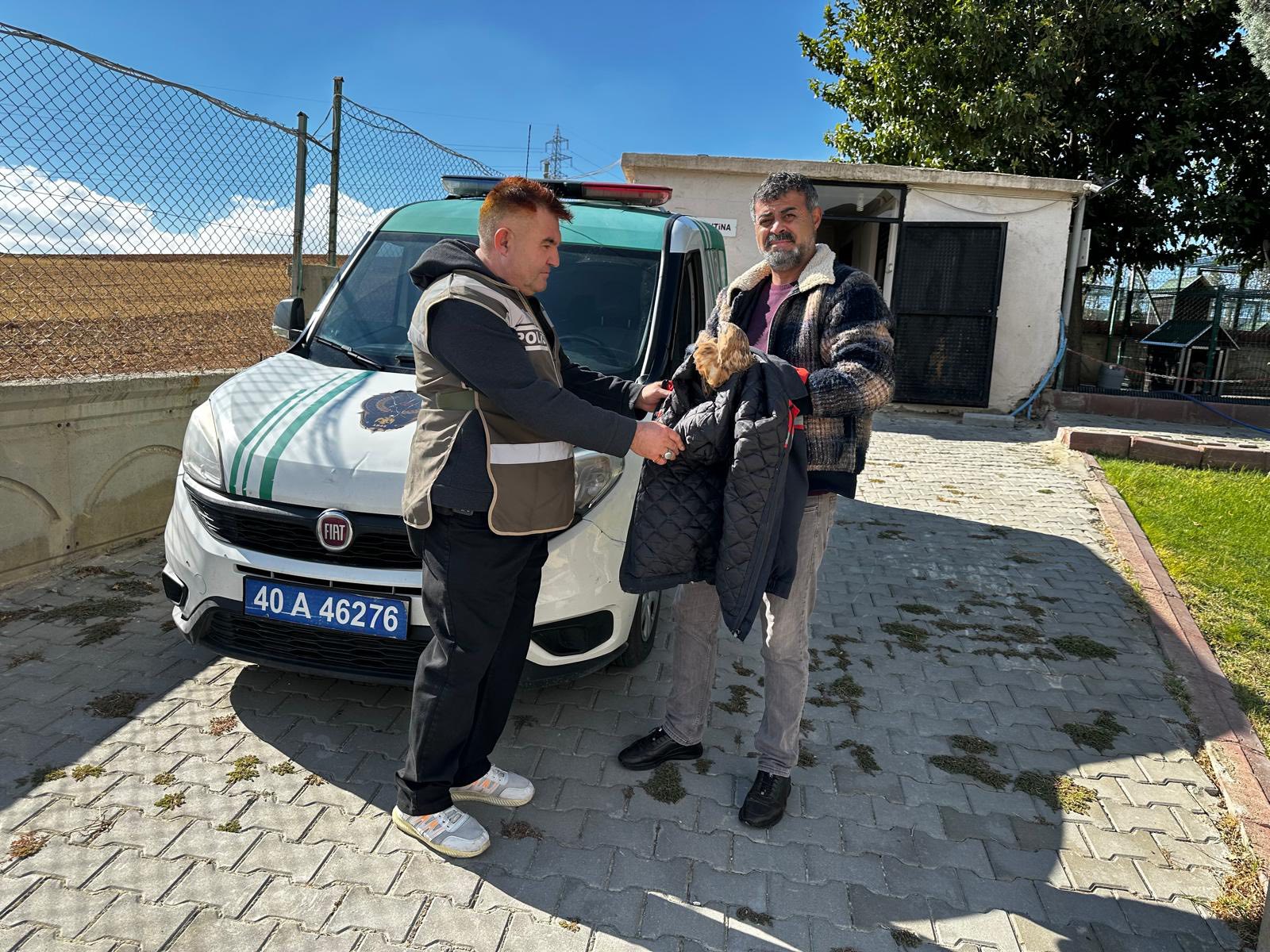 Yaralı Kızıl Şahin Tedavi Altına Alındı