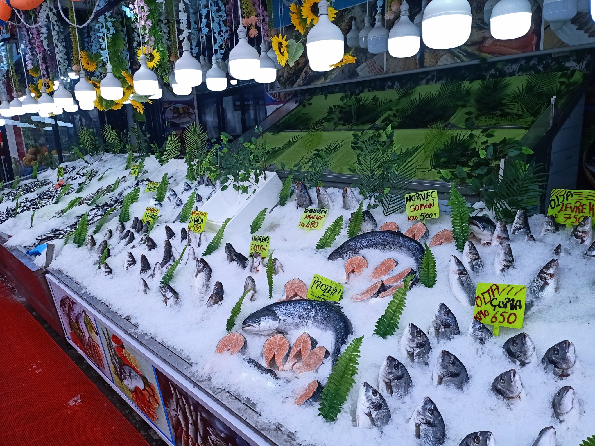 540706778 1581245593237238 8288559070133764452 N-1