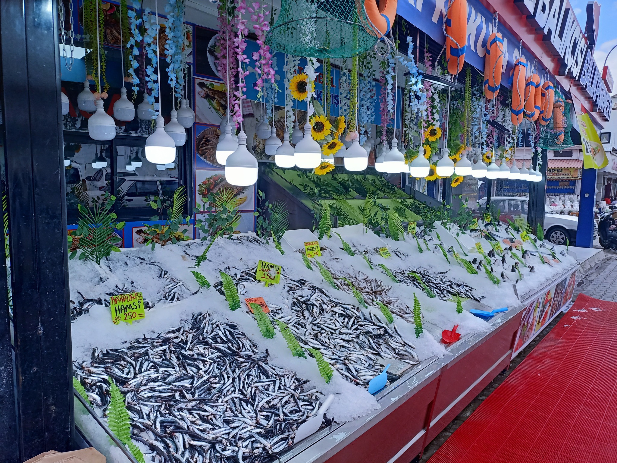 541780209 1581245429903921 2481588460052976185 N-1