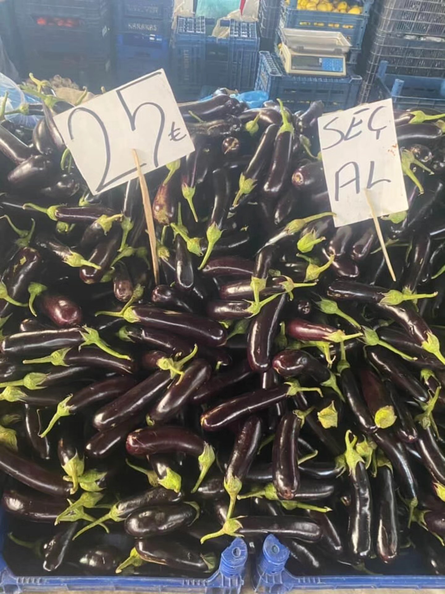 542754720 1375989744528329 6250528034643300785 N