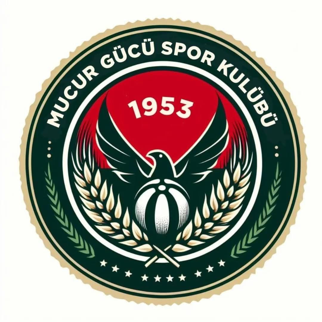 557748494 10235591421662776 2002309326099621813 N