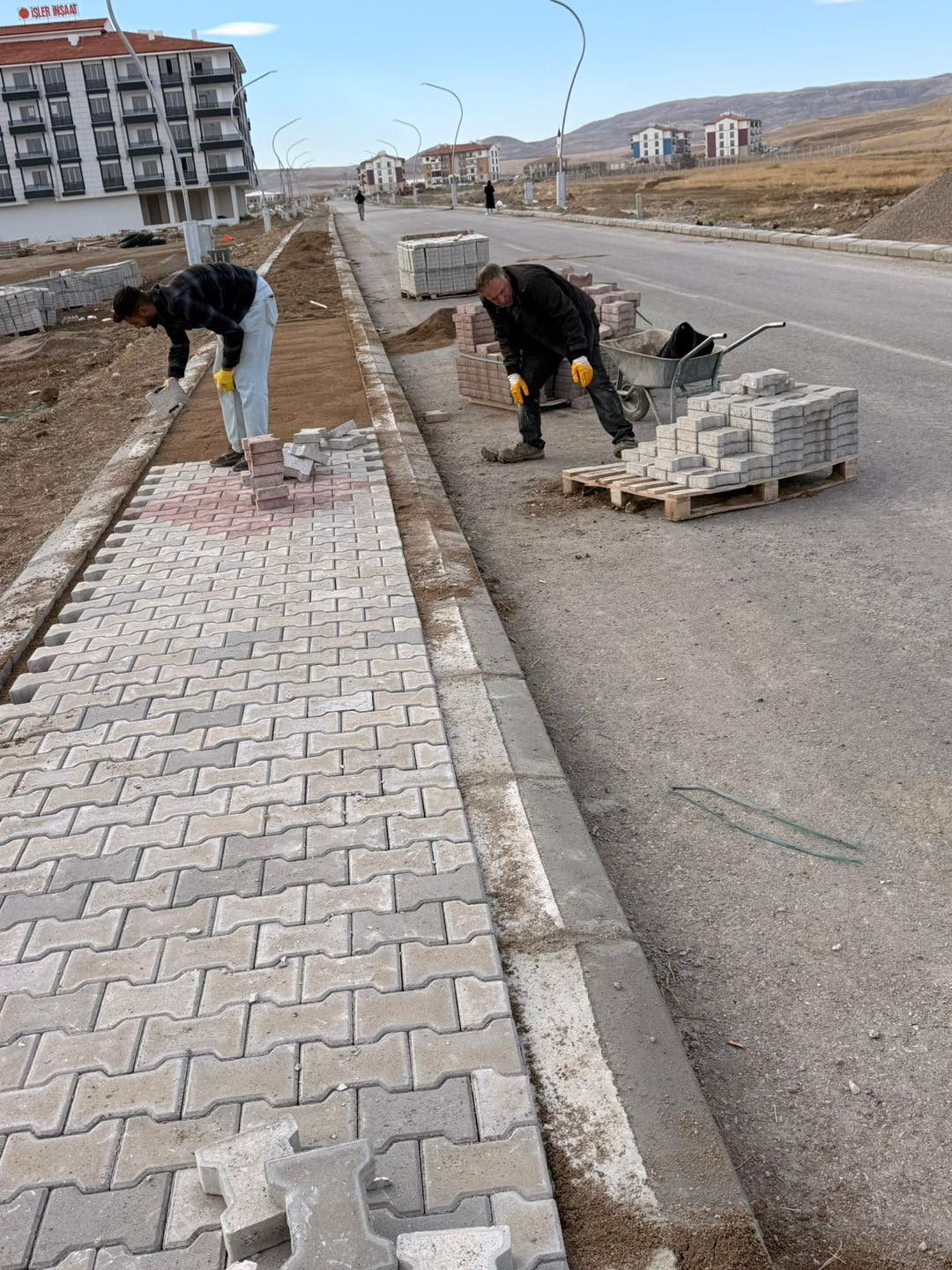 571211091 1450324627095488 6208523782221859781 N