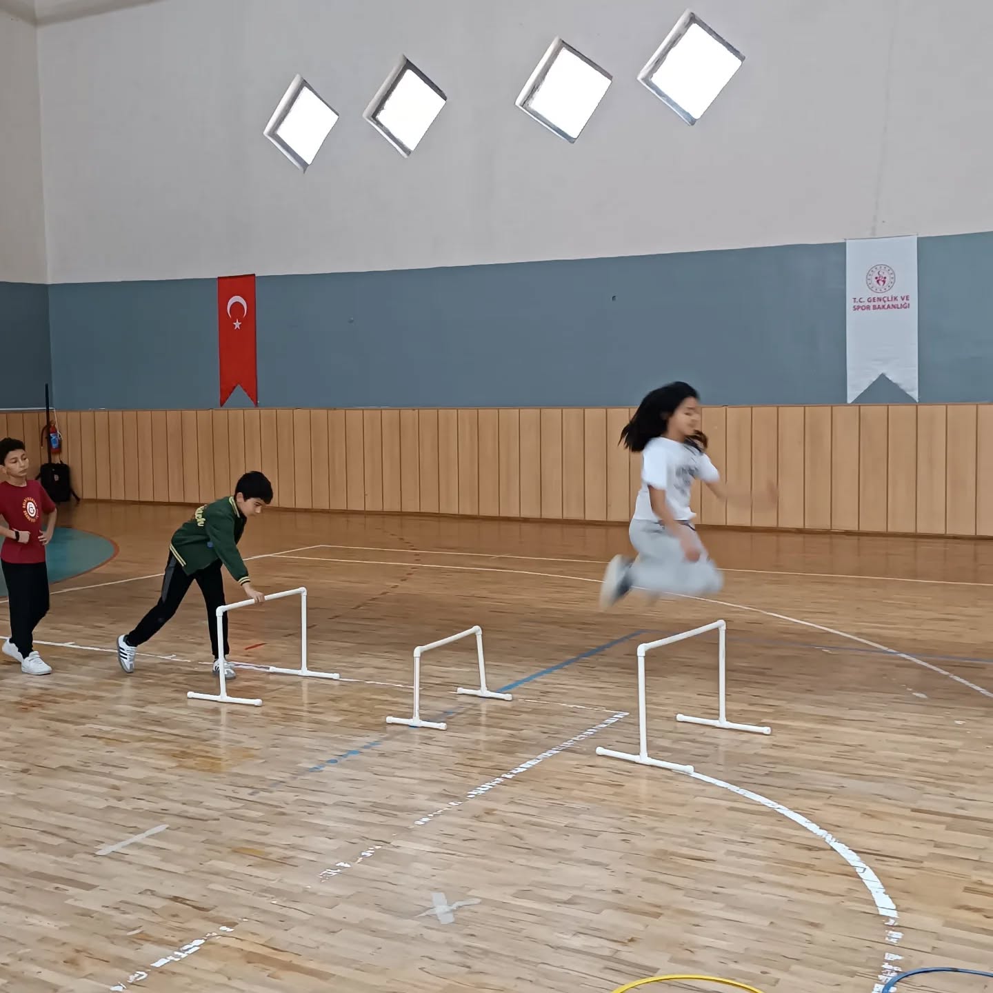 572784801 18333969370231791 7454004694054074132 N