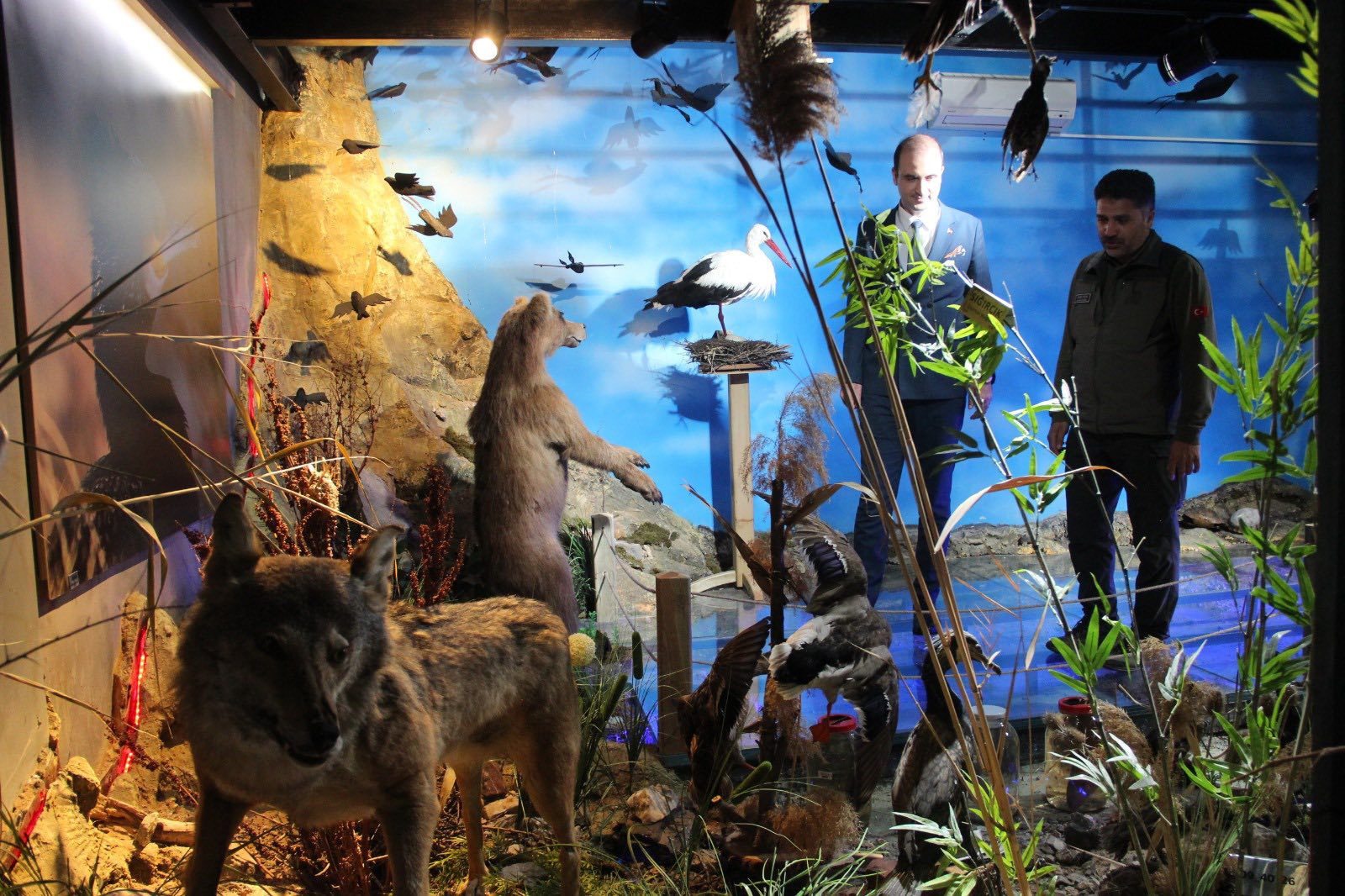 574861708 1139182674992287 680261809107806311 N