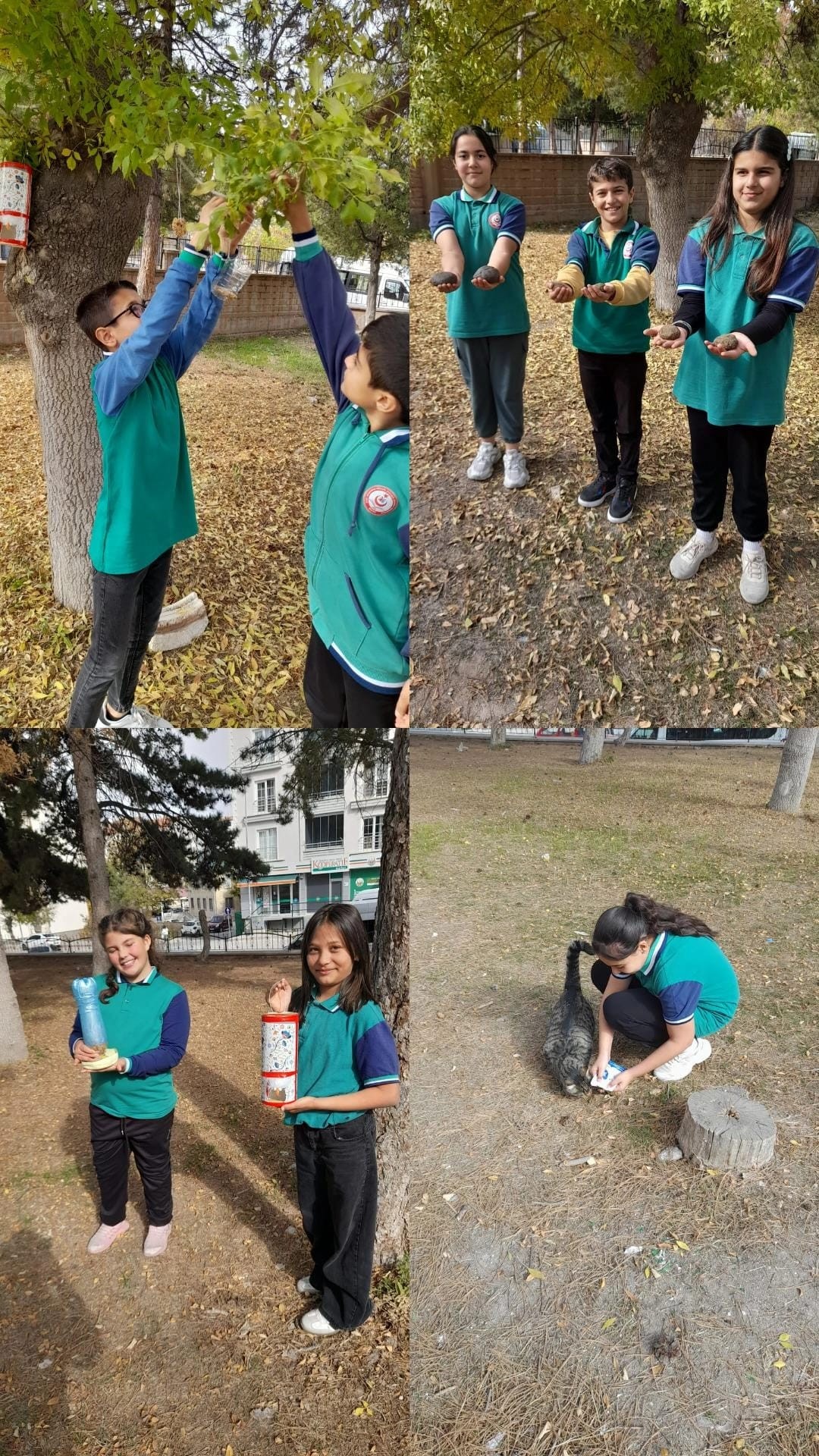 574867150 1330921898829865 1126144192389250875 N