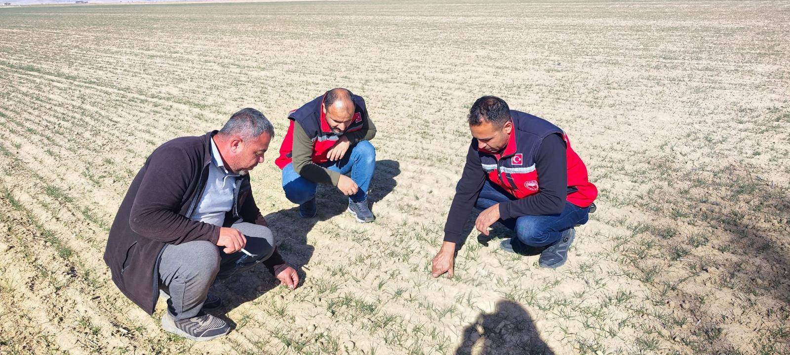 575109103 834609012377197 3136176004697775814 N