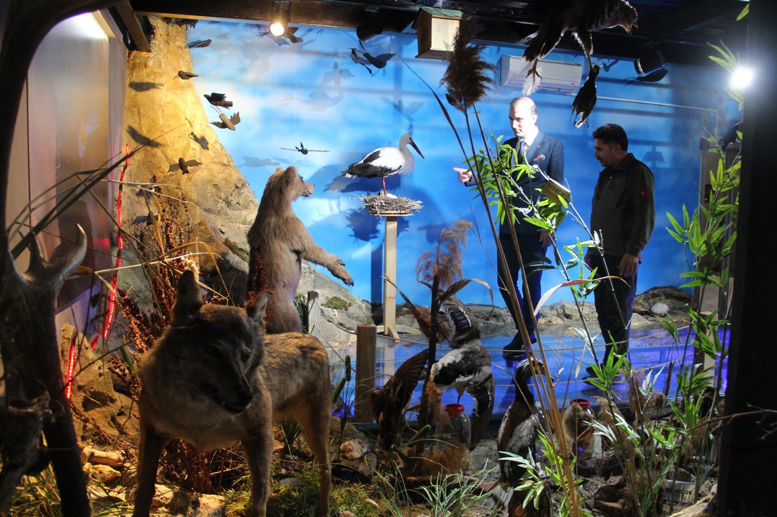 575140208 1139182634992291 2608469933952278085 N