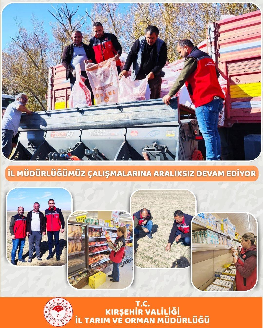 576365737 834608789043886 7826590749035171971 N