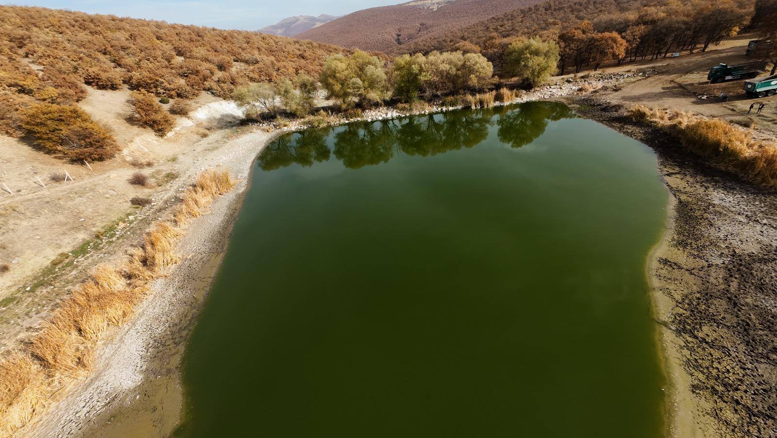 581156710 10164194218094887 8027319149732589810 N