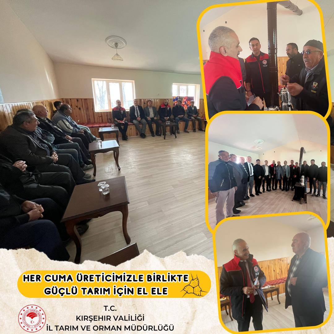 587269386 852498450588253 4390772304683830929 N