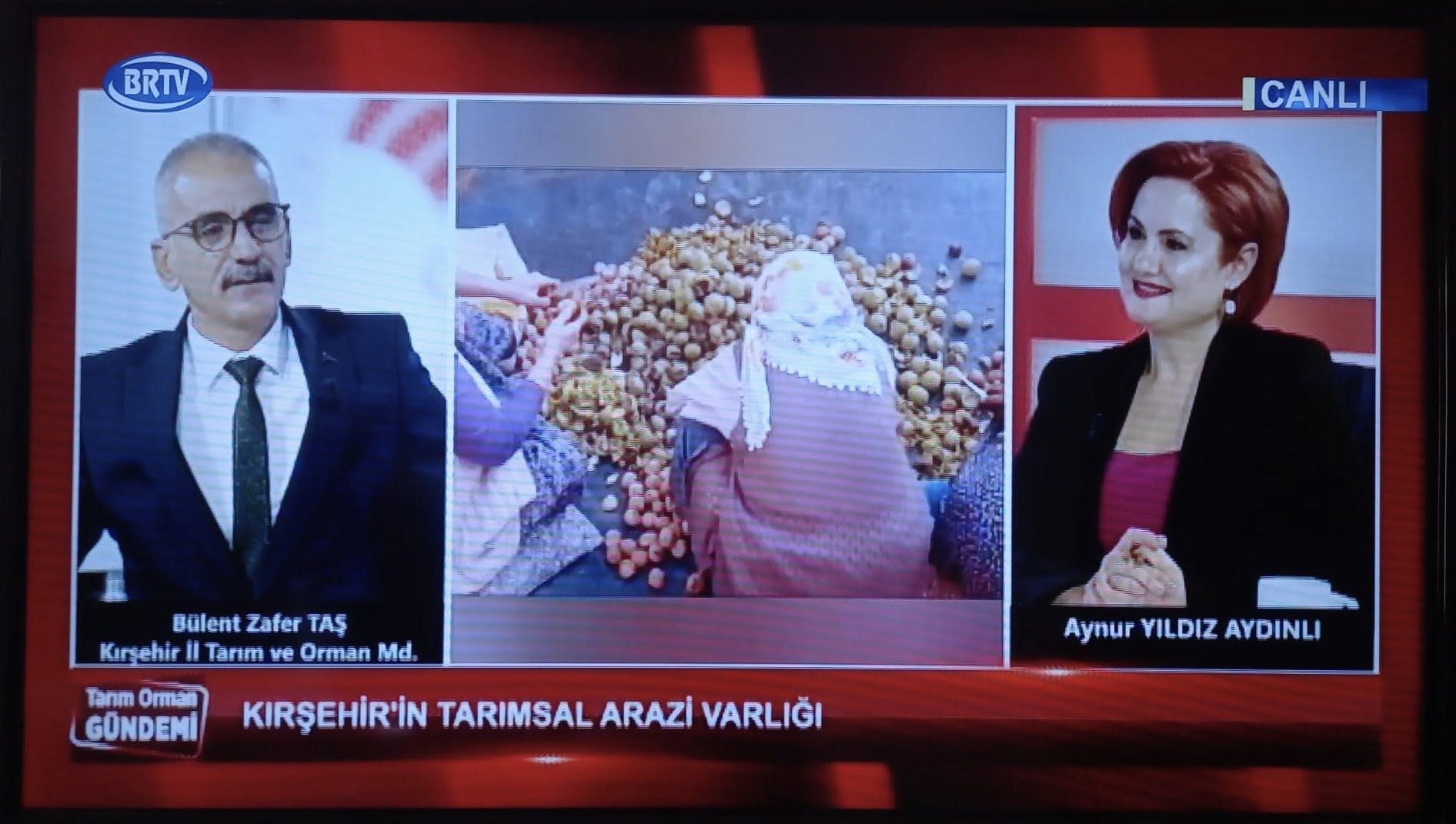 588987112 851766360661462 2285325796748391811 N