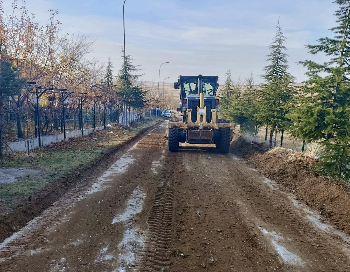 589256310 1162159686106563 4318055222990233122 N