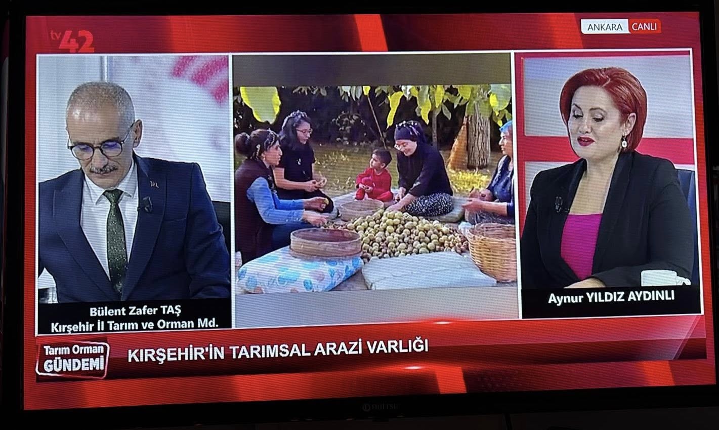 589337006 851766347328130 8604147329231882236 N