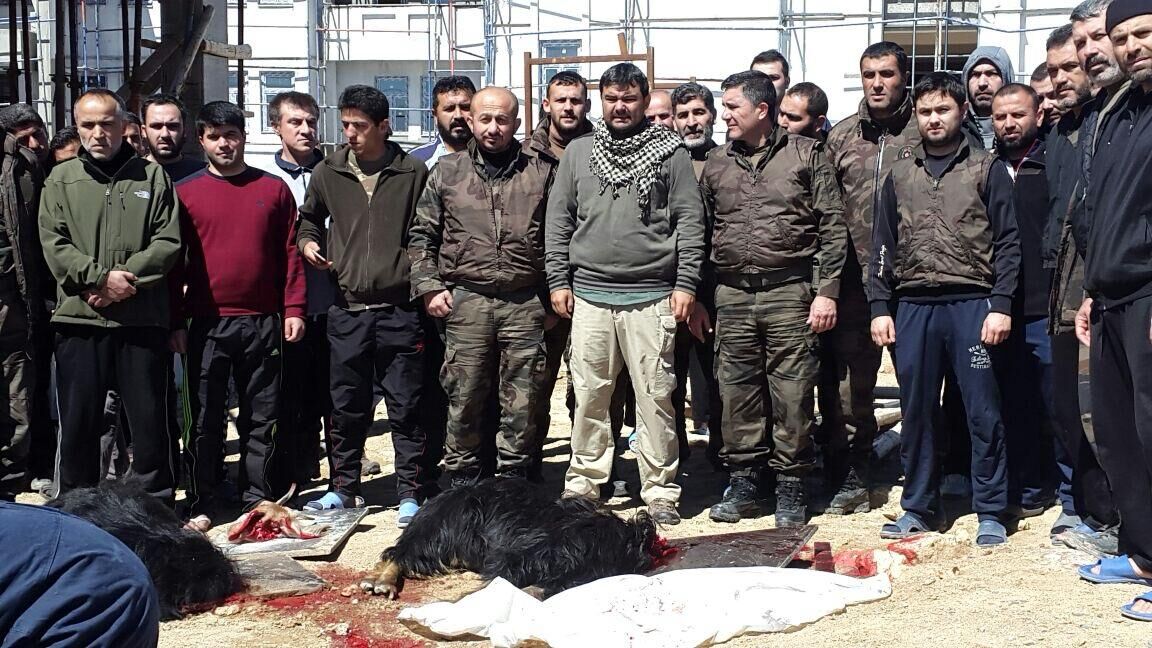 8E5E9685 502A 4330 9568 2153Dbc32912