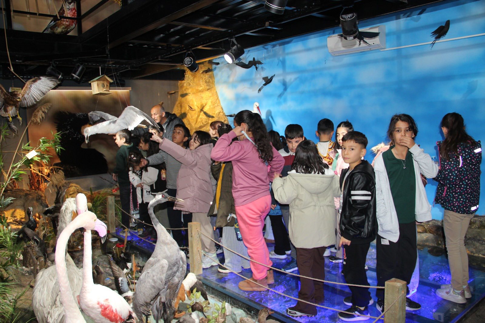 Aşıkpaşa Tabiat Parkı Ve Tabiat Müzesi Renkli Anlara Sahne Oldu2